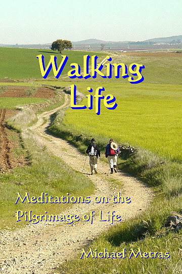 Walking Life cover