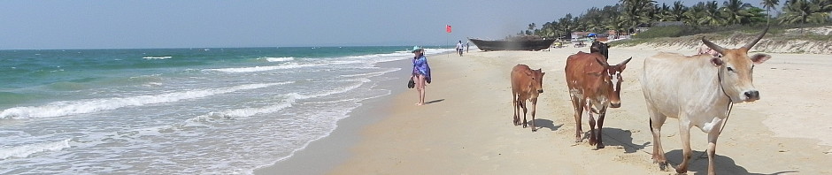 Goa beach.