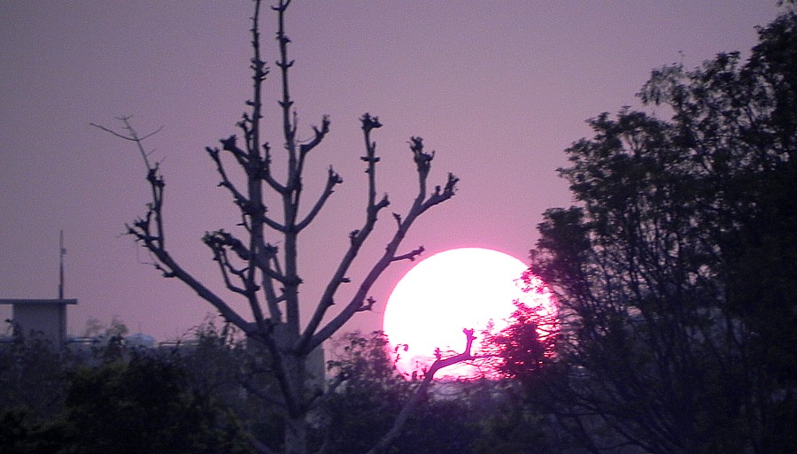 Sunset in 

Rishikesh.