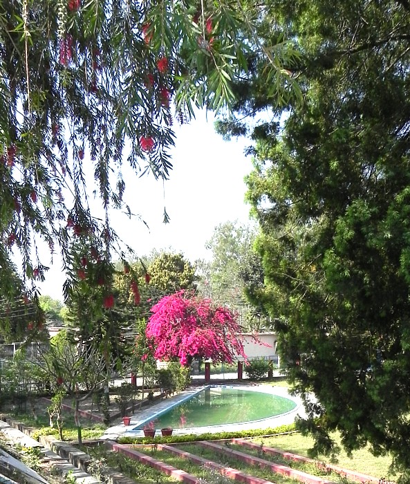 Rishikesh garden.