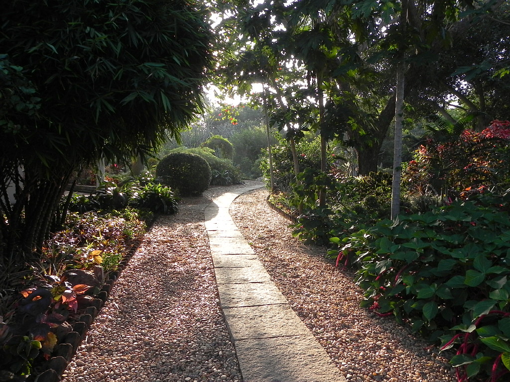 Gaia’s Garden, Auroville.