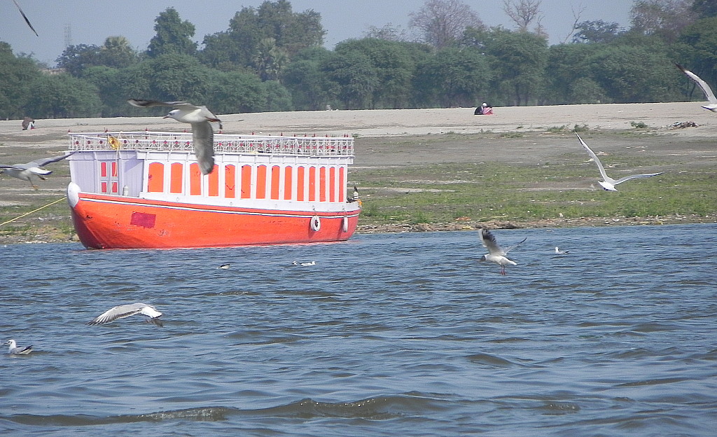 Varanasi boat.