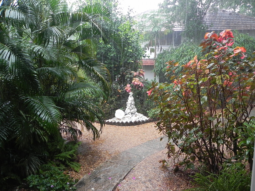 Gaia’s Garden during a monsoon rain.