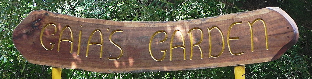  Gaia’s Garden in Auroville.