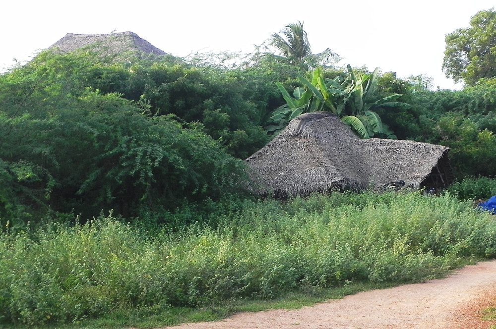 A traditional Tamil Nandu house.