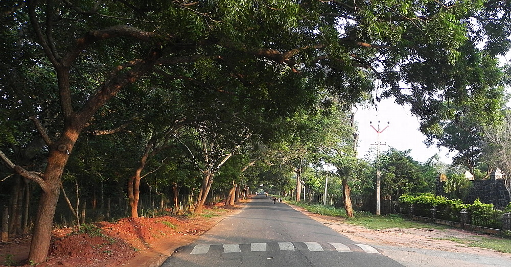 A street in Auroville.