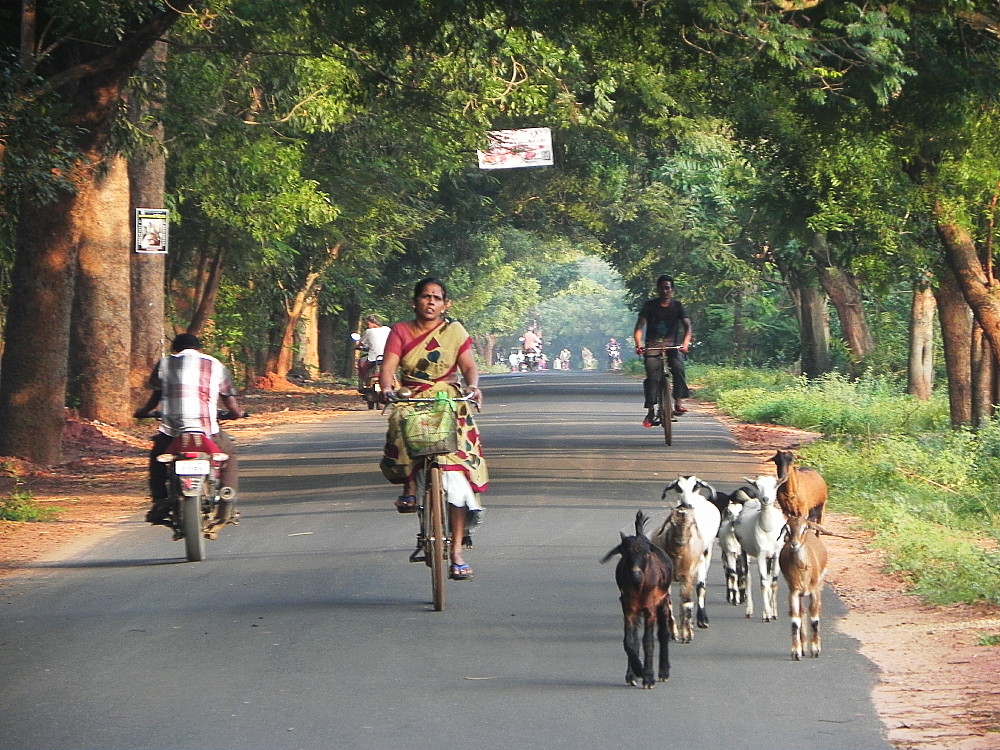  A street in Auroville.