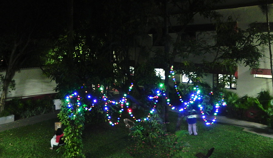 Kaivalyadhama Christmas lights.