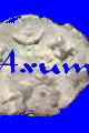 Axum: Coins and Places, a video on ancient Axum and its coins.
