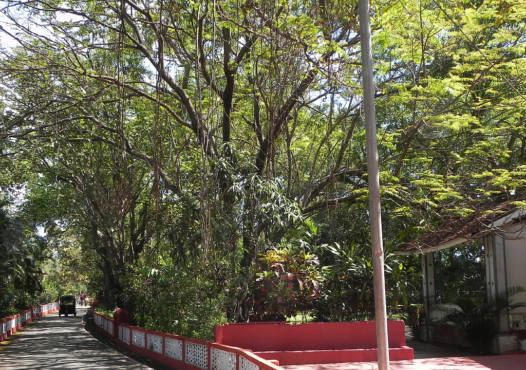 Kaivalyadhama road.